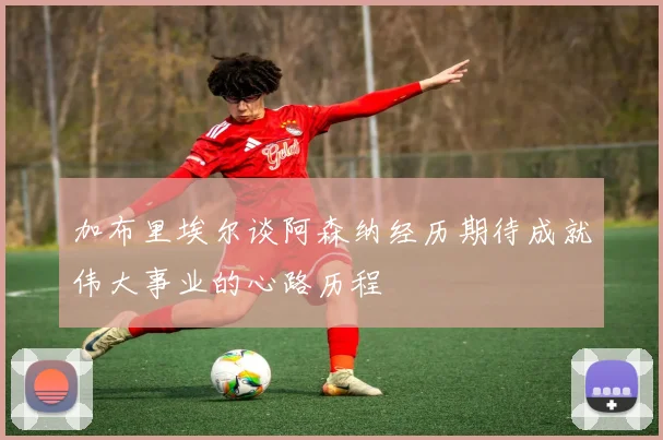 加布里埃尔谈阿森纳经历期待成就伟大事业的心路历程