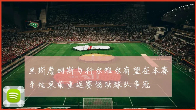 里斯詹姆斯与科尔维尔有望在本赛季结束前重返赛场助球队争冠
